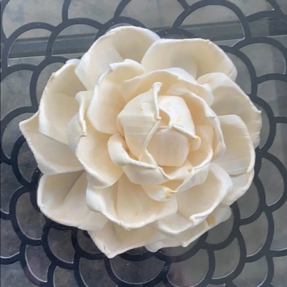 Pier 1 Shadow Box Wall Art Decor
